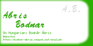 abris bodnar business card