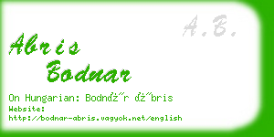 abris bodnar business card